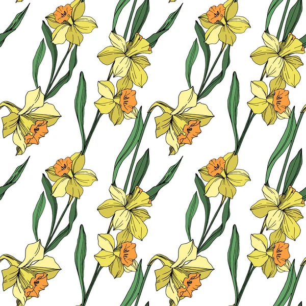 Vector Gele Narcissus Floral Botanische Bloem Wild Voorjaar Blad Wildflower — Stockvector