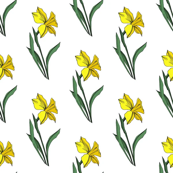 Vektör sarı nergis botanik çiçek. Vahşi bahar yaprak izole kır çiçeği. Oyulmuş mürekkep sanat. Sorunsuz arka plan deseni. Kumaş duvar kağıdı yazdırma doku.