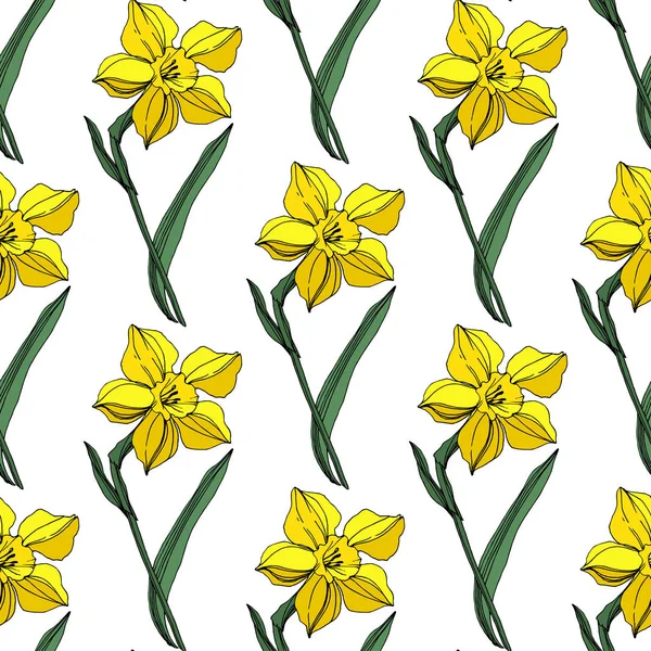 Vector Narciso Amarillo Flor Botánica Floral Flor Silvestre Hoja Primavera — Vector de stock