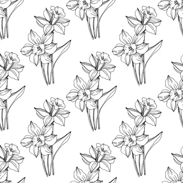 Векторна Квітка Нарциса Дикий Весняний Лист Ізольований Чорно Біле Гравірування — стоковий вектор