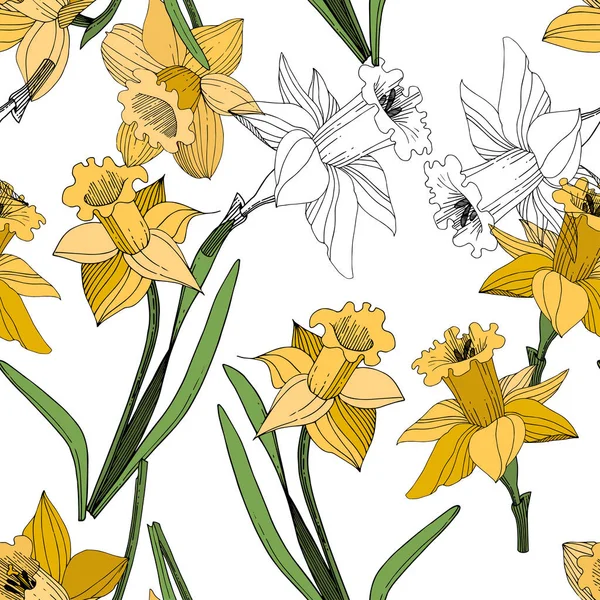 Vector Gele Narcissus Floral Botanische Bloem Wild Voorjaar Blad Wildflower — Stockvector