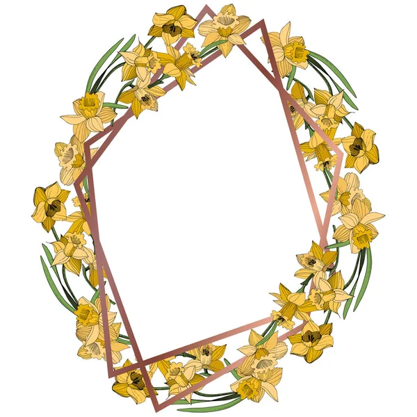 Vector Fleur Botanique Florale Narcisse Jaune Feuille Sauvage Printemps Fleur — Image vectorielle