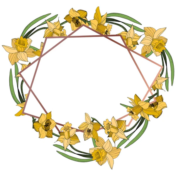 Vector Narciso Amarillo Flor Botánica Floral Flor Silvestre Hoja Primavera — Archivo Imágenes Vectoriales