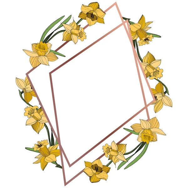 Vektor Gula Narcisser Blommig Botaniska Blomma Vilda Våren Leaf Wildflower — Stock vektor