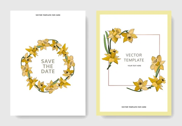 Vecteur Narcisse Fleur Botanique Florale Feuille Sauvage Printemps Fleur Sauvage — Image vectorielle