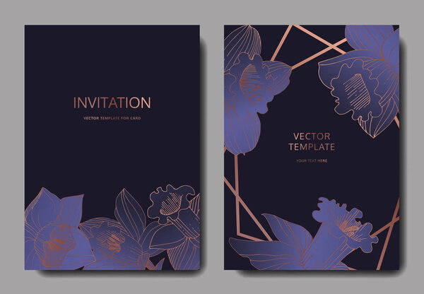 Вектор Нарцисс цветочный ботанический цветок. Дикий весенний цветок изолирован. Черно-белая гравировка
.