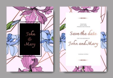 Süsen illüstrasyon vektör. Çiçek tebrik kartları şablonları, 