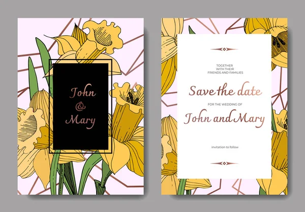 Vektör Narcissus botanik çiçek. Vahşi bahar yaprak izole kır çiçeği. Siyah ve beyaz mürekkep sanat kazınmış.