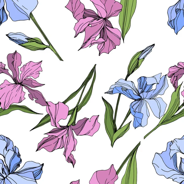 Vector Pink Blue Irises Engraved Ink Art Seamless Background Pattern — Stock Vector