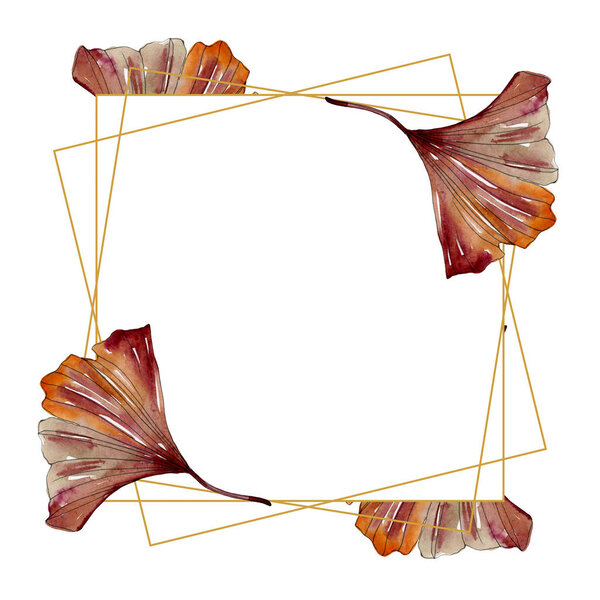 Green red ginkgo biloba leaves.Watercolor background illustration set. Frame border ornament square.