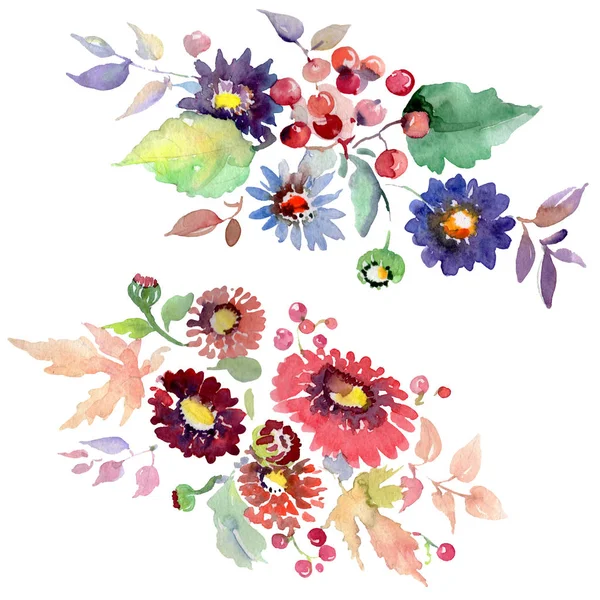 Ramos con flores y frutas. Conjunto de ilustración de fondo acuarela. Ramos aislados elemento de ilustración . — Foto de Stock
