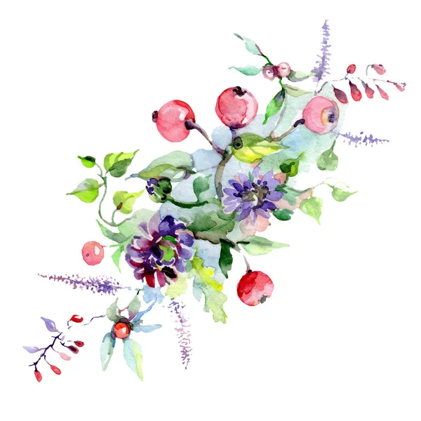 Bouquet virágok és bogyók. Akvarell háttér illusztráció készlet. Elszigetelt csokor ábra elem. — Stock Fotó