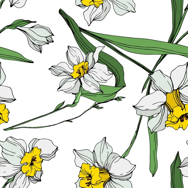 Vetor Branco Amarelo Narciso Flores Com Folhas Verdes Tinta Gravada — Vetor de Stock