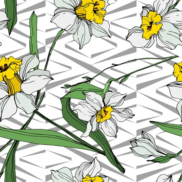 Vektori Valkoinen Keltainen Narcissus Kukkia Vihreät Lehdet Kaiverrettu Mustetaidetta Valkoisella — vektorikuva