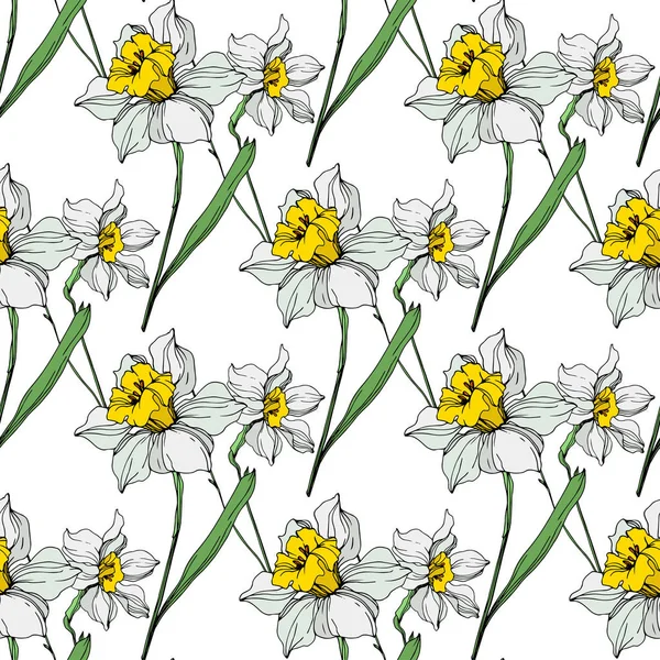 Vector White Yellow Narcissus Flowers Green Leaves Engraved Ink Art — Stock Vector