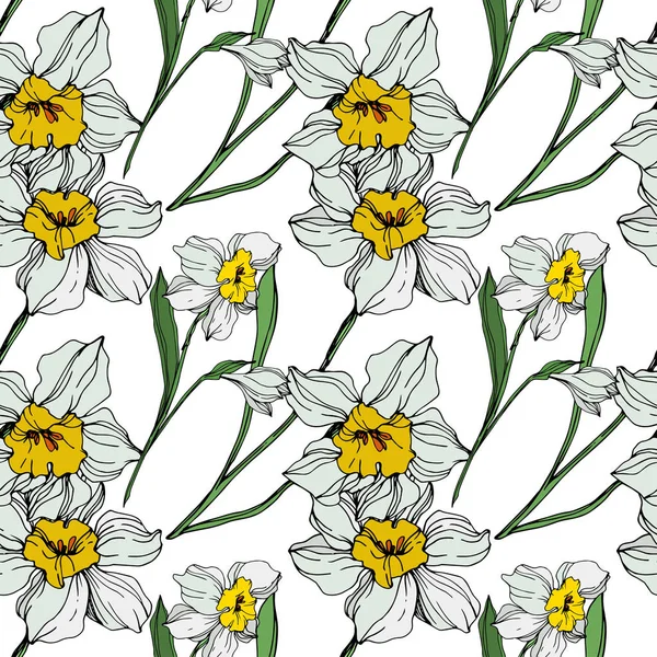 Vetor Branco Amarelo Narciso Flores Com Folhas Verdes Tinta Gravada —  Vetores de Stock