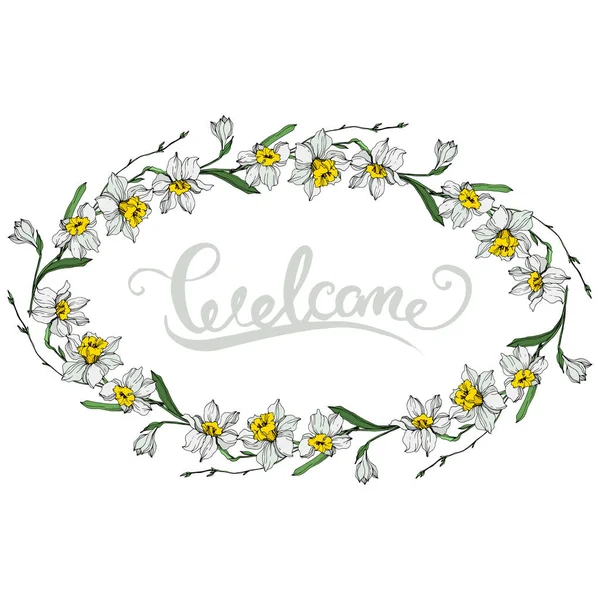 Vector White Narcissus Flowers Engraved Ink Art White Background Frame — Stock Vector