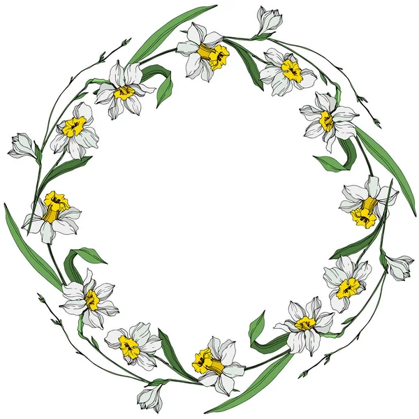 有绿叶的白色水仙花 在白色背景上雕刻的水墨艺术 带复制空间的框架边框装饰 — 图库矢量图片