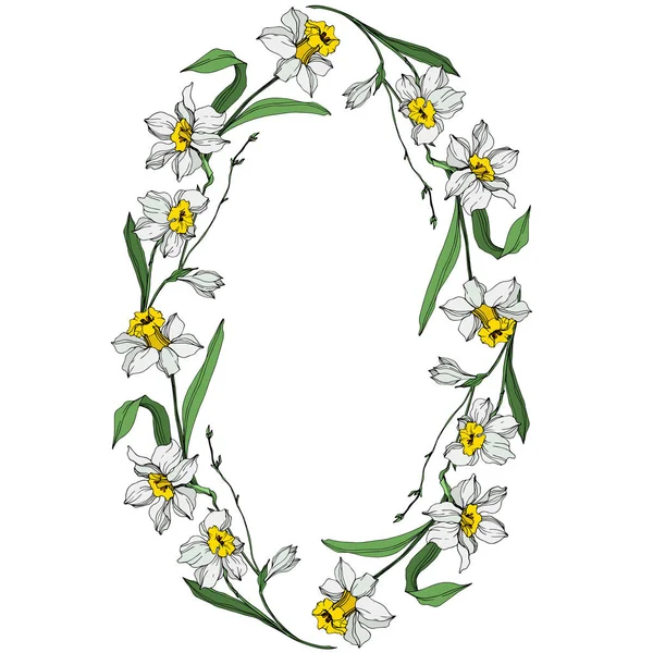 Vector White Narcissus Flowers Green Leaves Engraved Ink Art White — Stock Vector
