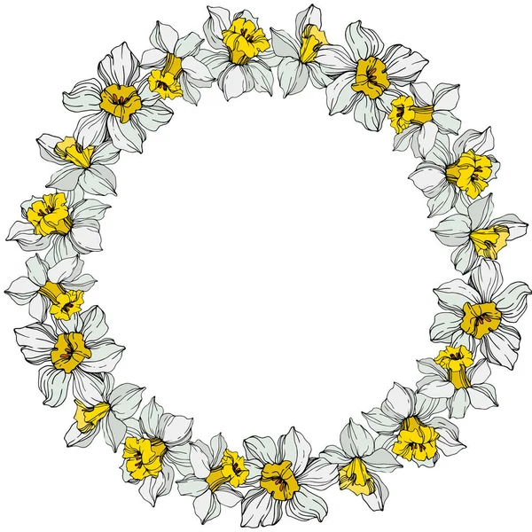 Vector White Narcissus Flowers Green Leaves Engraved Ink Art White — Stock Vector