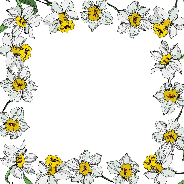 有绿叶的白色水仙花 在白色背景上雕刻的水墨艺术 带复制空间的框架边框装饰 — 图库矢量图片
