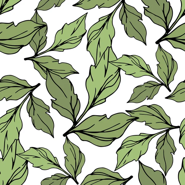 绿色矢量叶子在白色上隔离 雕刻油墨艺术 无缝背景模式 — 图库矢量图片