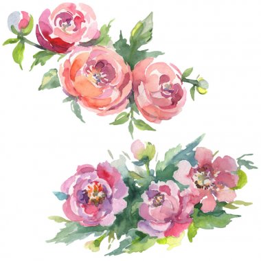 Beyaz üzerine izole yeşil yaprakları ile şakayık buketleri. Suluboya arka plan illüstrasyon seti. 