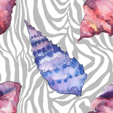 Zebra arka planda mavi ve mor deniz tropikal deniz kabukları. Suluboya arka plan illüstrasyon seti. Kesintisiz arka plan deseni.