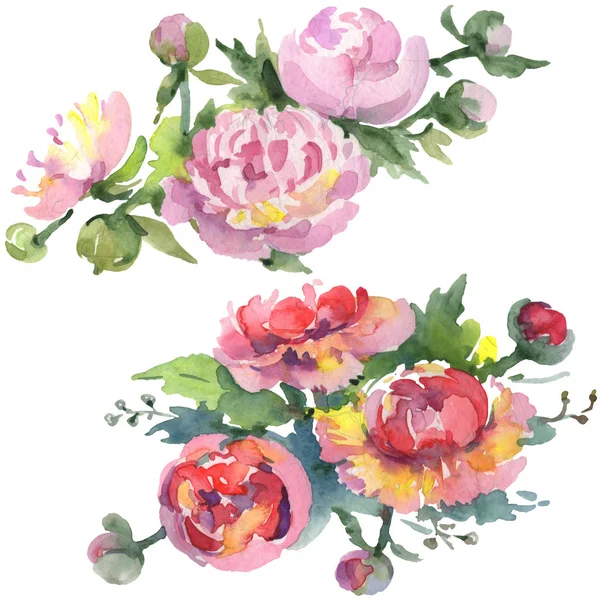 Bouquets Peonies Green Leaves Isolated White Watercolor Background Illustration Set — Stock Photo, Image