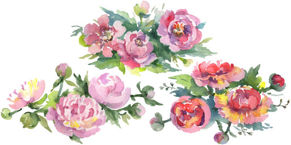 Bouquets of peonies with green leaves isolated on white. Watercolor background illustration set. 