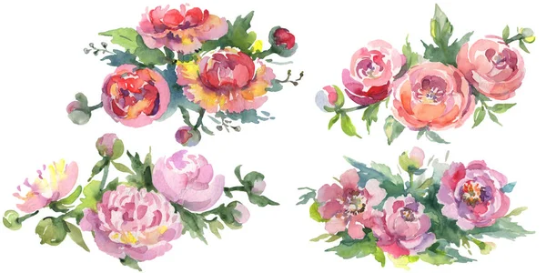 Beyaz üzerine izole yeşil yaprakları ile şakayık buketleri. Suluboya arka plan illüstrasyon seti. 