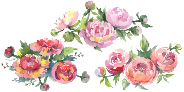 Beyaz üzerine izole yeşil yaprakları ile şakayık buketleri. Suluboya arka plan illüstrasyon seti. 