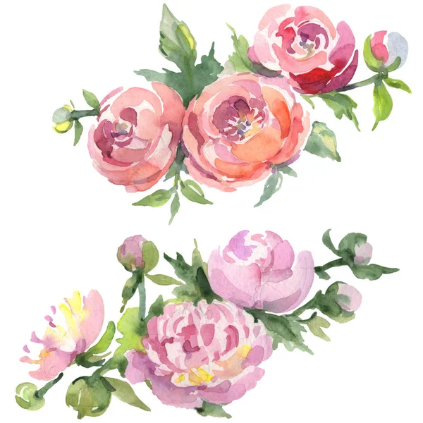 Bouquets of peonies with green leaves isolated on white. Watercolor background illustration set.