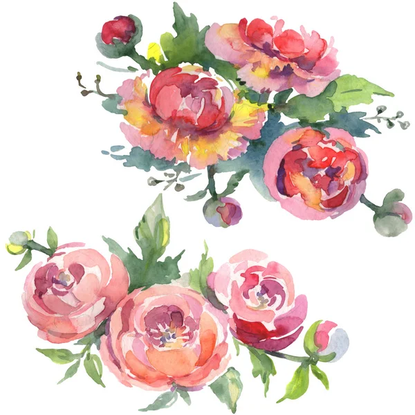 Beyaz üzerine izole yeşil yaprakları ile şakayık buketleri. Suluboya arka plan illüstrasyon seti. 