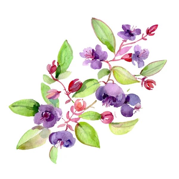 Bouquet of purple flowers with green leaves isolated on white. Watercolor background illustration elements.