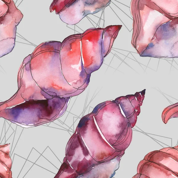 Purple Marine Tropical Seashells Isolated Grey Watercolor Background Illustration Set — Stock Photo, Image