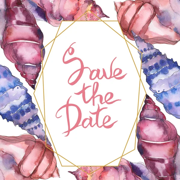 Mavi ve mor deniz tropikal deniz kabukları beyaz izole. Tarih yazısını kaydet ile suluboya illüstrasyon çerçevesi. 