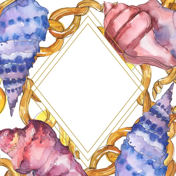 Blue Purple Marine Tropical Seashells Isolated White Watercolor Illustration Frame — Stock Photo, Image