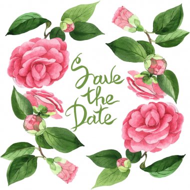 Pink camellia flowers with green leaves isolated on white. Watercolor background illustration set. Frame with save the date lettering. clipart