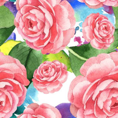 Pembe kamelya çiçekleri ile arka planda yeşil yapraklar suluboya dökülür. Suluboya illüstrasyon seti. Kesintisiz arka plan deseni. 