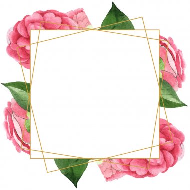 Beyaz izole yeşil yaprakları ile pembe kamelya çiçekleri. Suluboya arka plan illüstrasyon seti. Kopyalama alanı ile boş çerçeve.