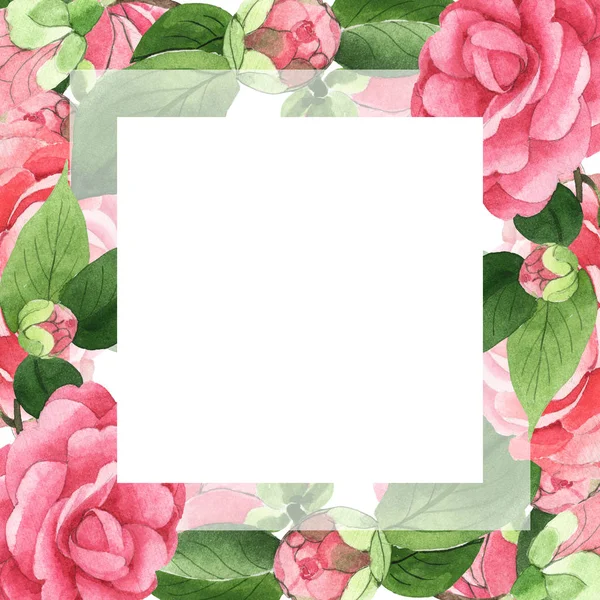 Rosafarbene Kamelienblüten Mit Grünen Blättern Auf Weißem Grund Aquarell Hintergrundillustration — Stockfoto