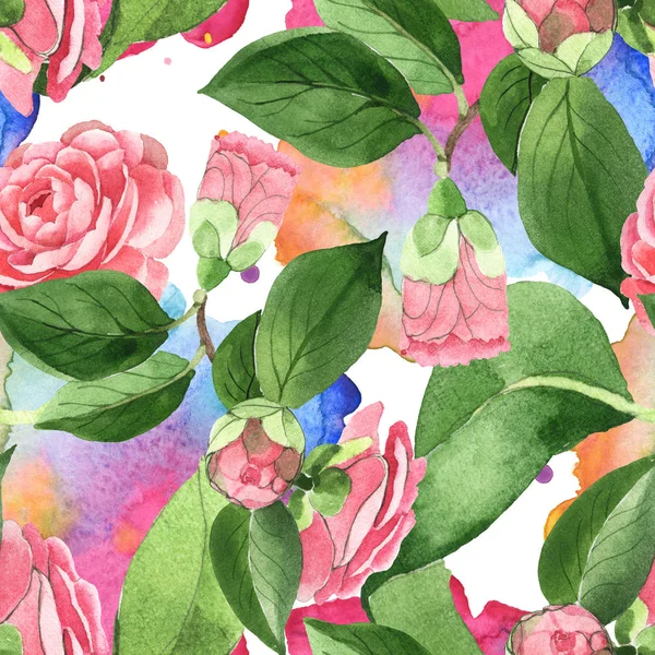 Pink Camellia Flowers Green Leaves Background Watercolor Paint Spills Watercolor — Stock Photo, Image