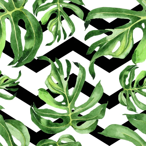 Εξωτικά Τροπικά Πράσινα Φύλλα Παλάμης Σετ Φόντου Για Υδατογραφήματα Ομαλή — Φωτογραφία Αρχείου
