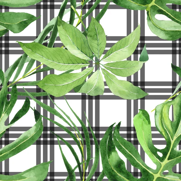 Εξωτικά Τροπικά Πράσινα Φύλλα Παλάμης Σετ Φόντου Για Υδατογραφήματα Ομαλή — Φωτογραφία Αρχείου