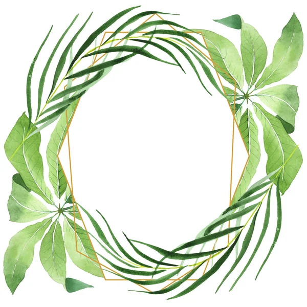 Exotic tropical hawaiian green palm leaves isolated on white. Watercolor background set. Frame with copy space.