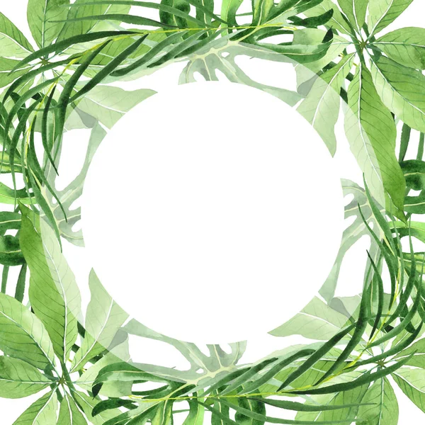 Exotic Tropical Hawaiian Green Palm Leaves Isolated White Watercolor Background — Stock Photo, Image