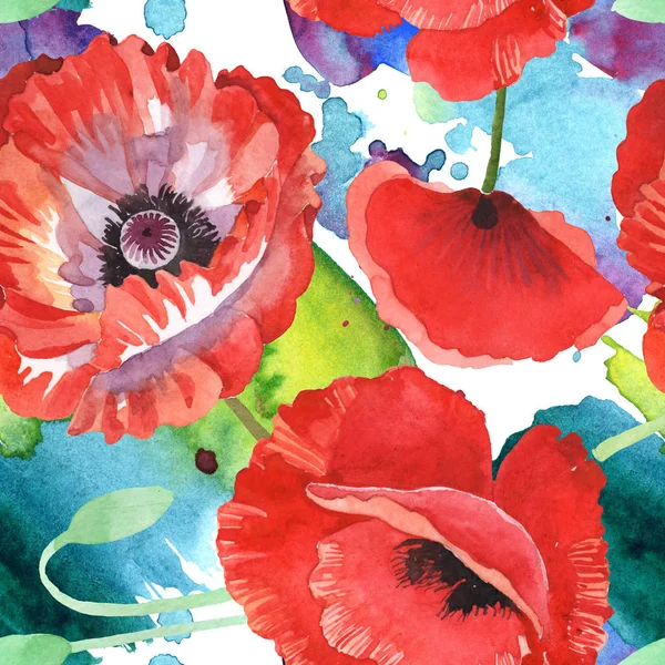 Red Poppies Watercolor Illustration Set Seamless Background Pattern — Stock Photo, Image