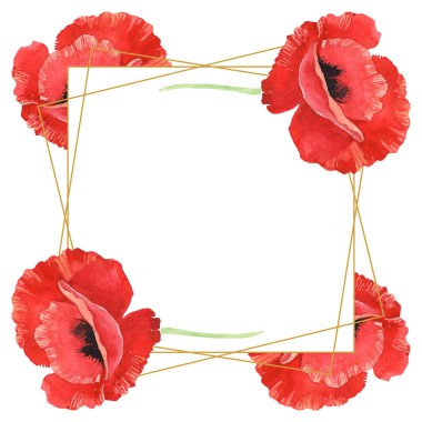 Red poppies isolated on white. Watercolor background illustration set. Frame with flowers and copy space. clipart