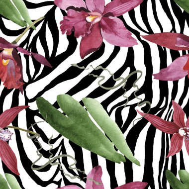 Zebra arka planda yeşil yaprakları ile Marsala orkide. Suluboya illüstrasyon seti. Kesintisiz arka plan deseni. 